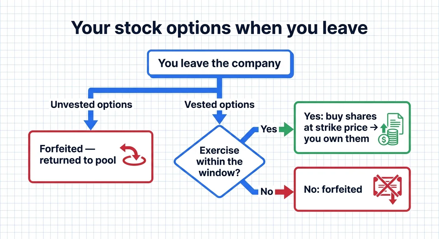 When you leave, unvested options are forfeited to the pool, while vested options must be exercised within the window or they are forfeited too